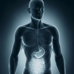 11 Health and Technologies Limited - A Connected Medical Device Company